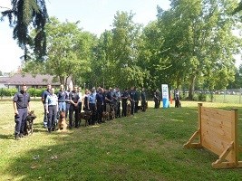 Slika topvijesti/2018/06_lipanj/trening za pse.jpg